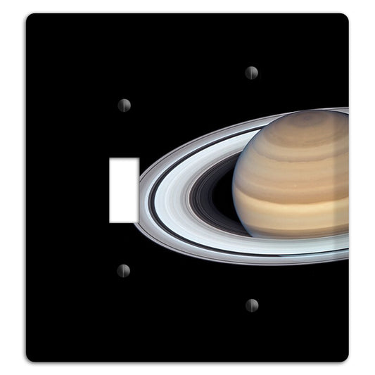 Saturn Toggle / Blank Wallplate