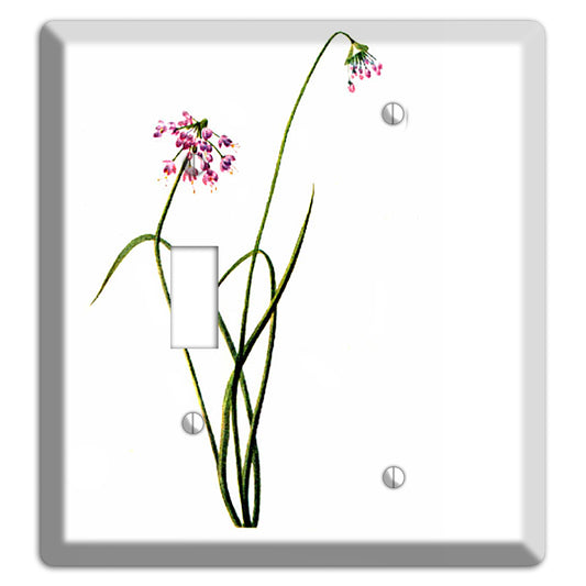 Allium Cernum Toggle / Blank Wallplate