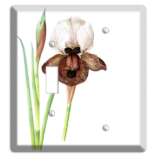 White iris Toggle / Blank Wallplate