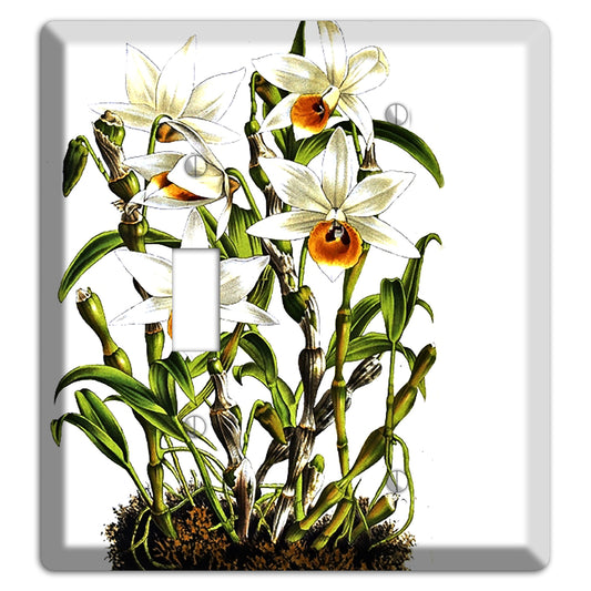 Dendrobium Toggle / Blank Wallplate