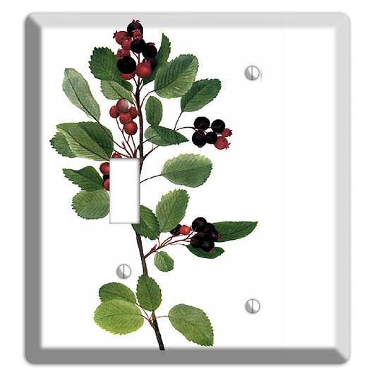 Amelanchier Ainifolia Toggle / Blank Wallplate