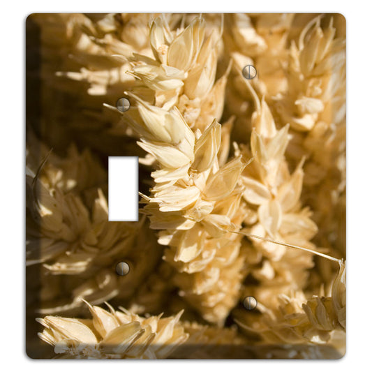 Wheat Toggle / Blank Wallplate