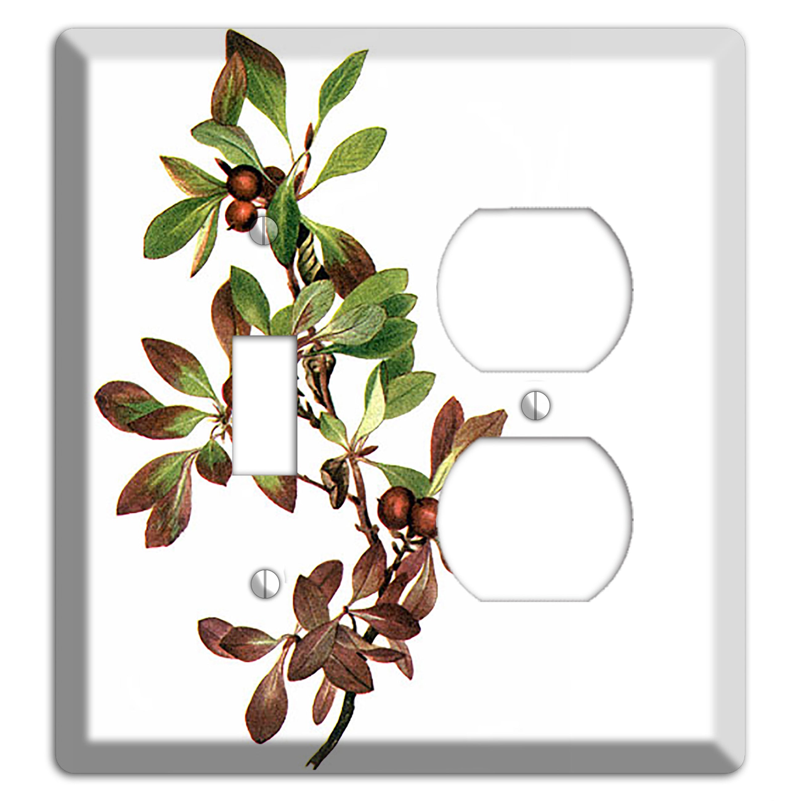 Arietustaphylos Alpha Toggle / Duplex Wallplate