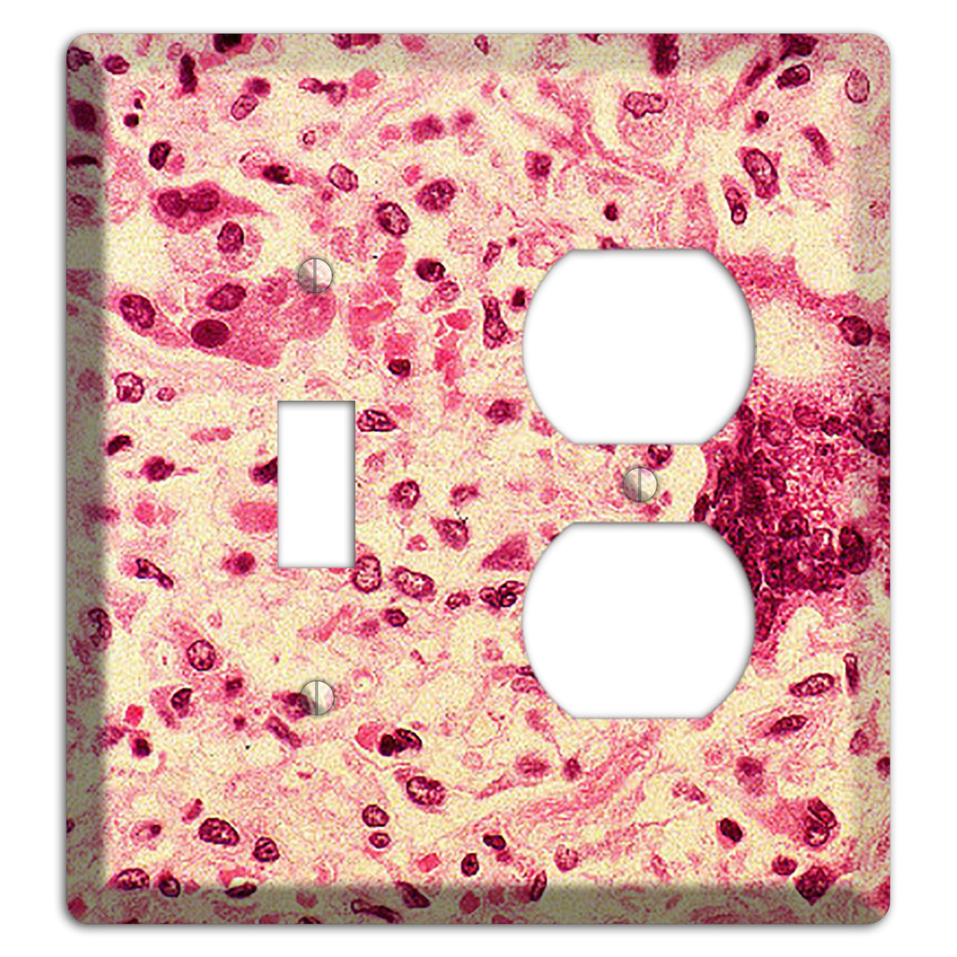 Morbillo Toggle / Duplex Wallplate