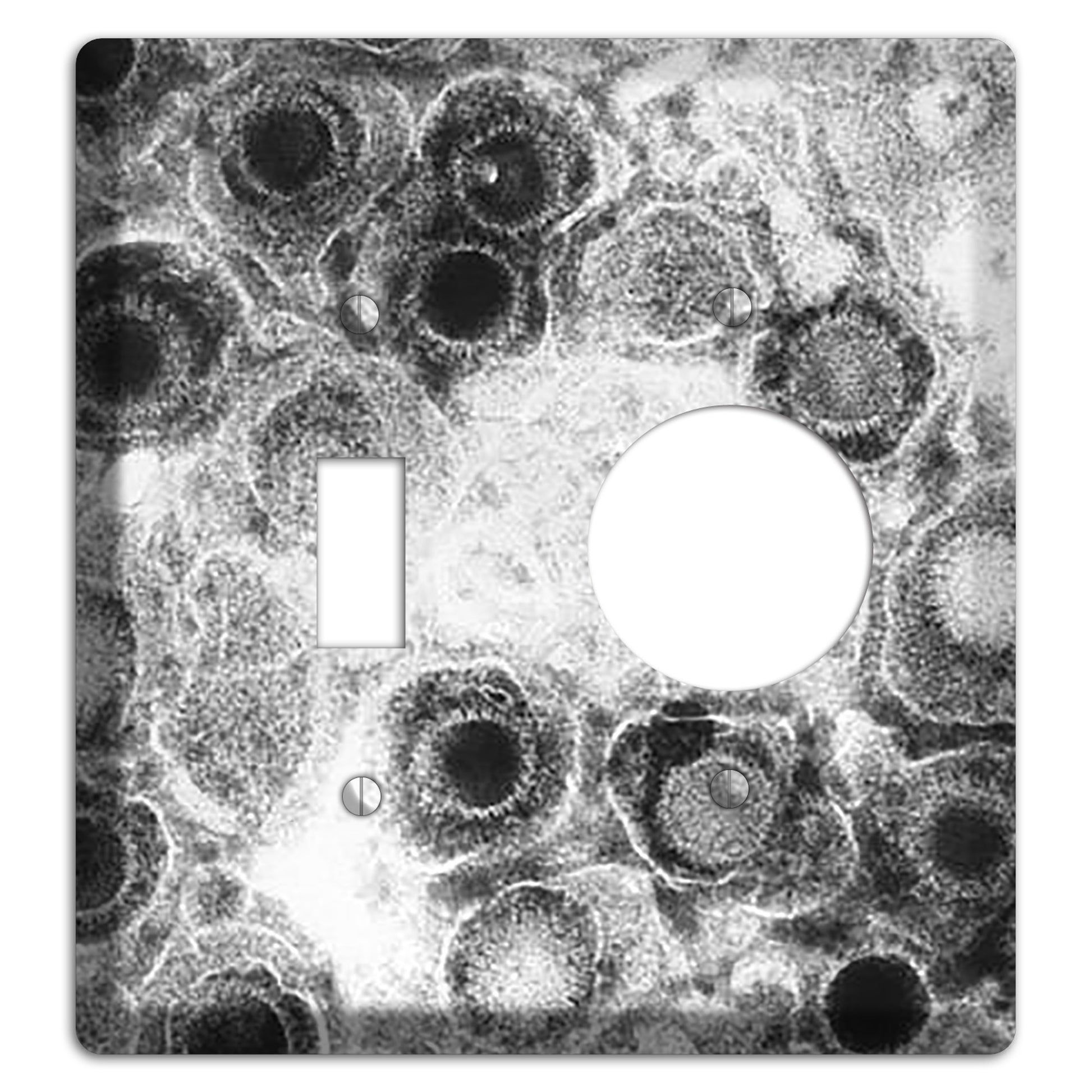 Herpes Simplex Toggle / Receptacle Wallplate