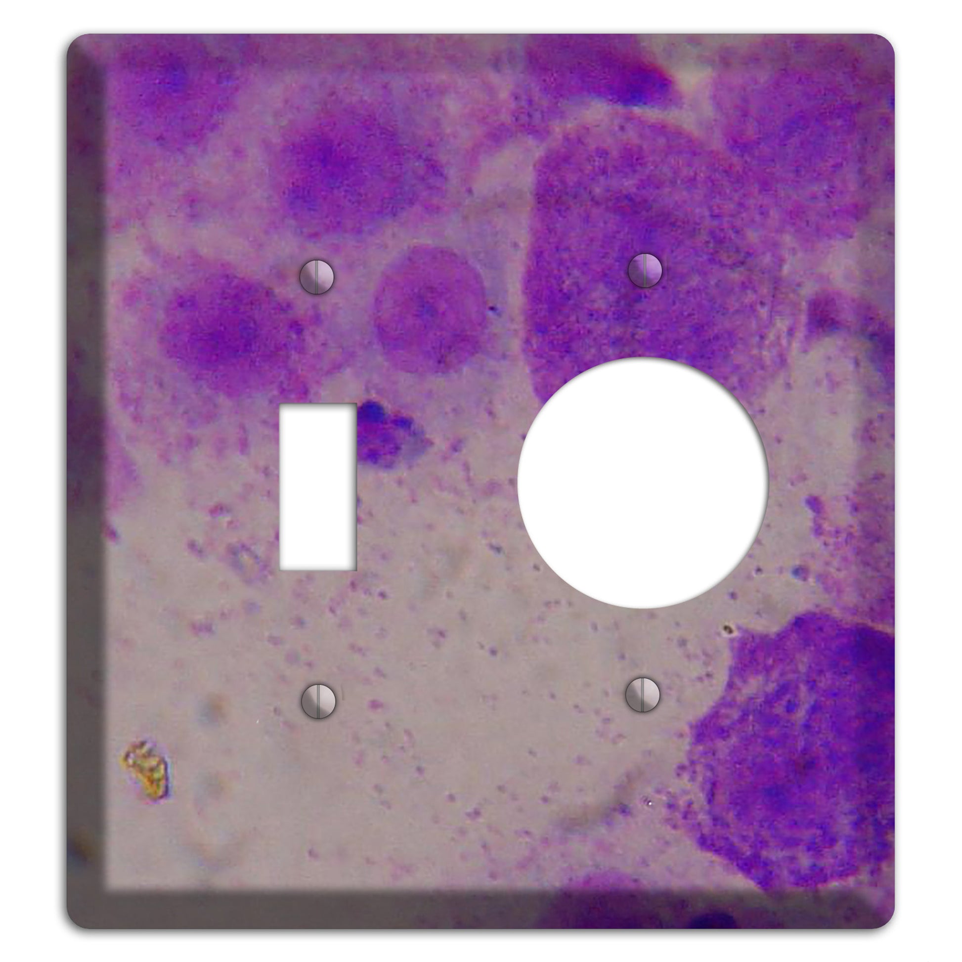 Mast Cell Tumor Toggle / Receptacle Wallplate