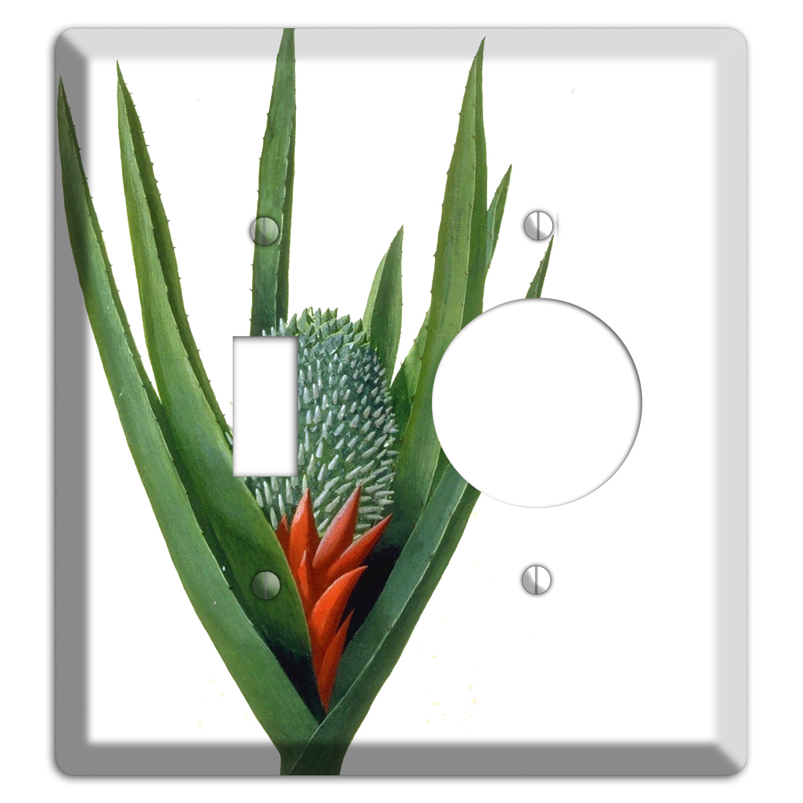 Bromiliad Toggle / Receptacle Wallplate