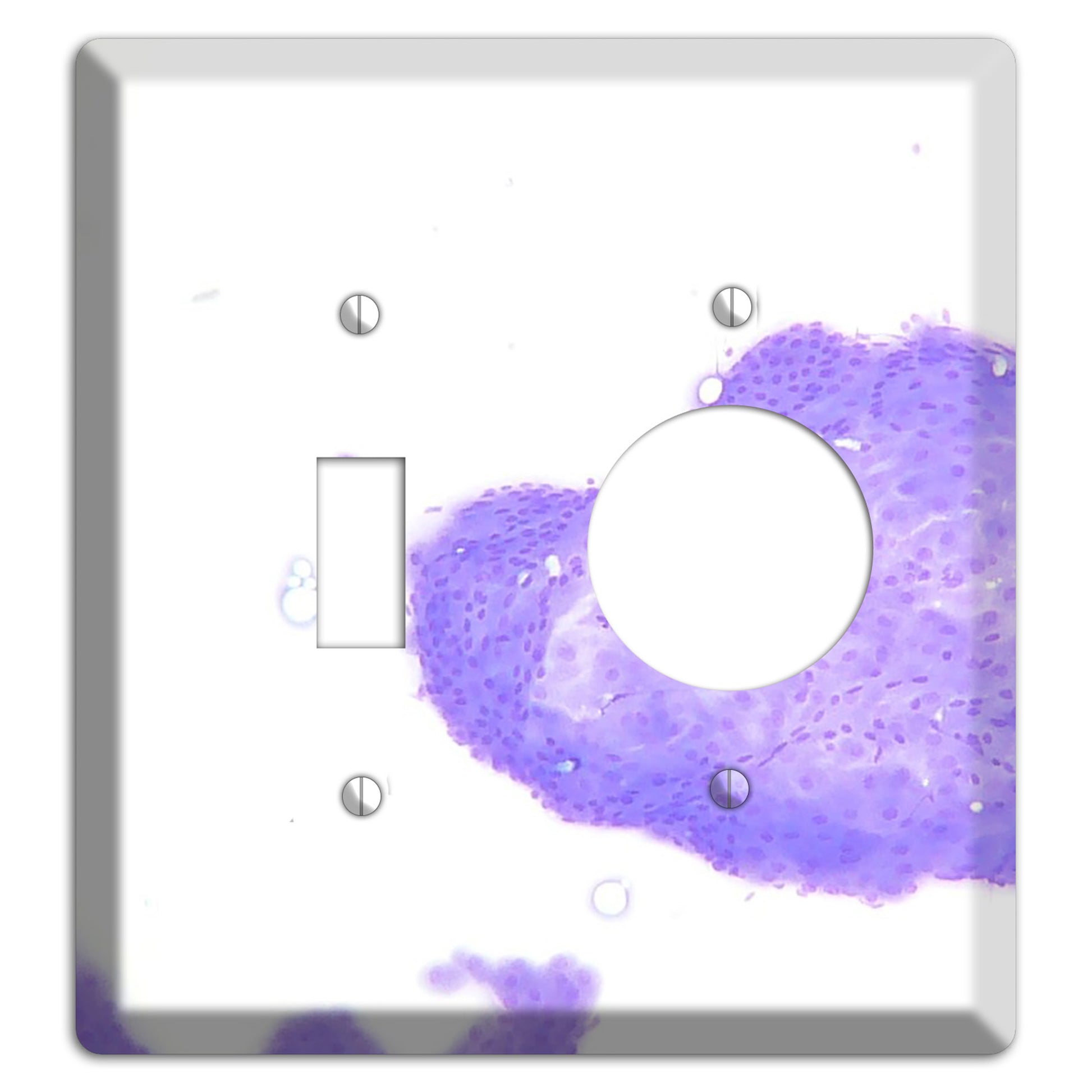 Perianal Gland Tumor Cytology Toggle / Receptacle Wallplate