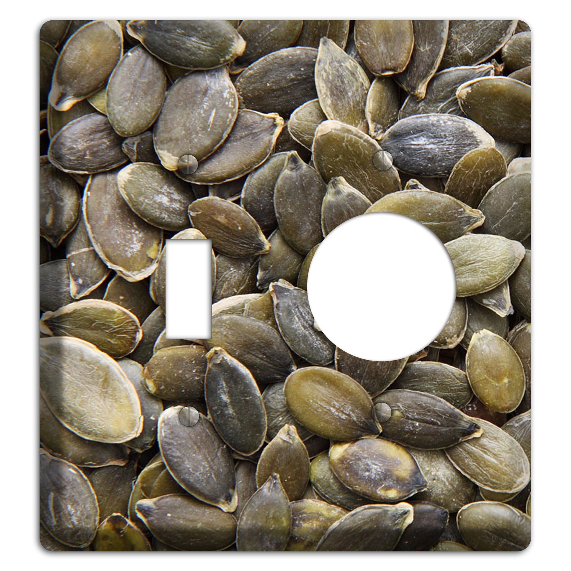 Sunflowers Seeds Toggle / Receptacle Wallplate
