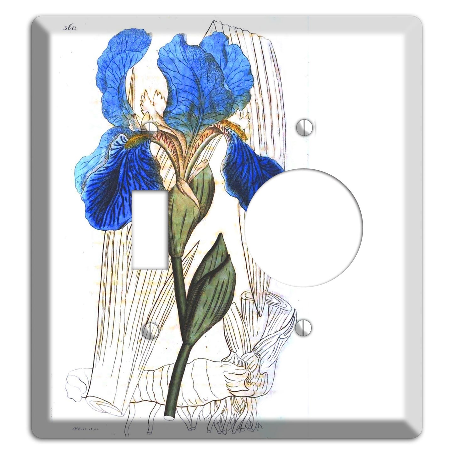 Blue Iris Toggle / Receptacle Wallplate