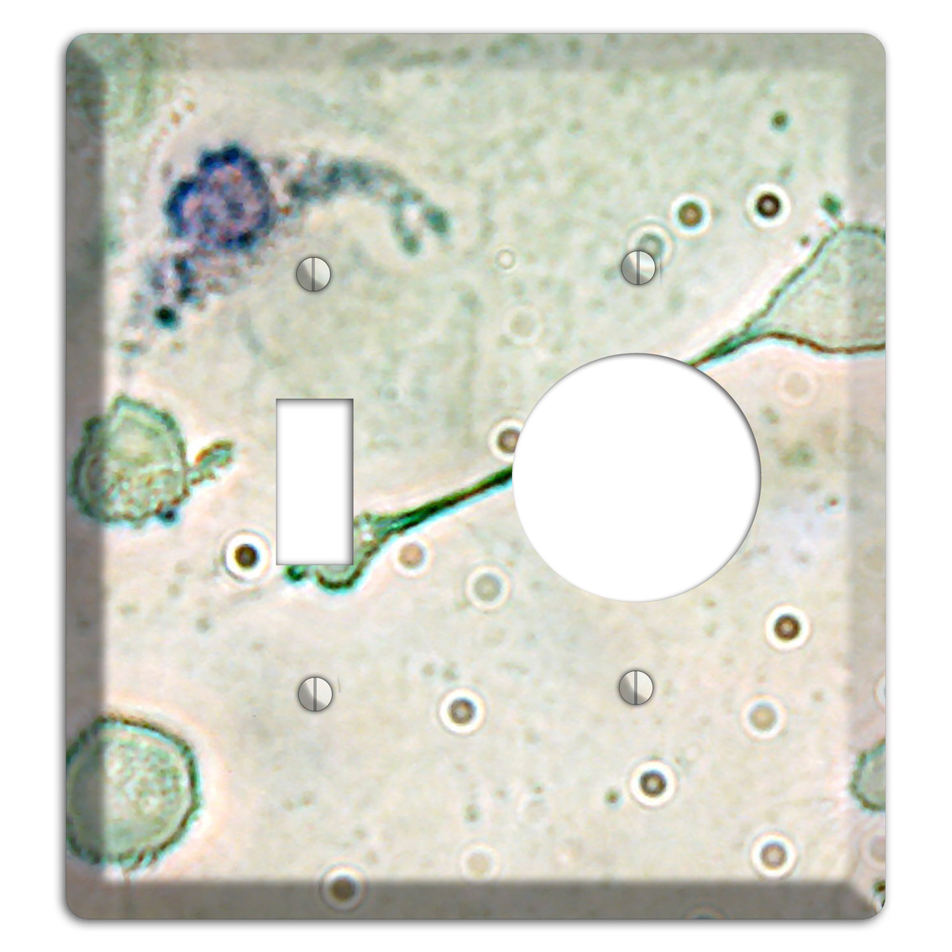 Macrophage Toggle / Receptacle Wallplate