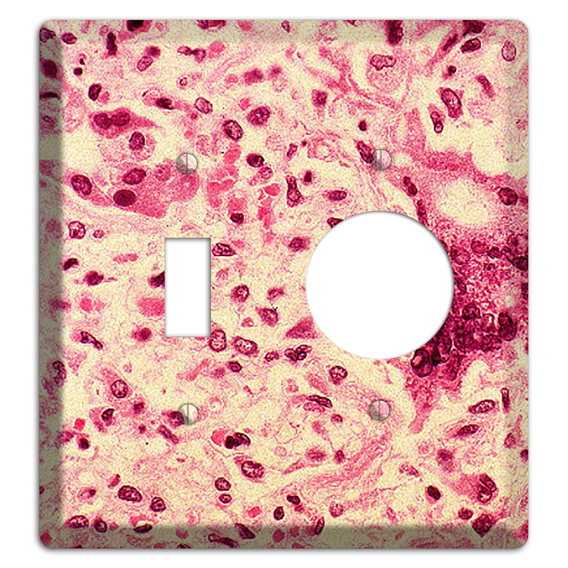 Morbillo Toggle / Receptacle Wallplate