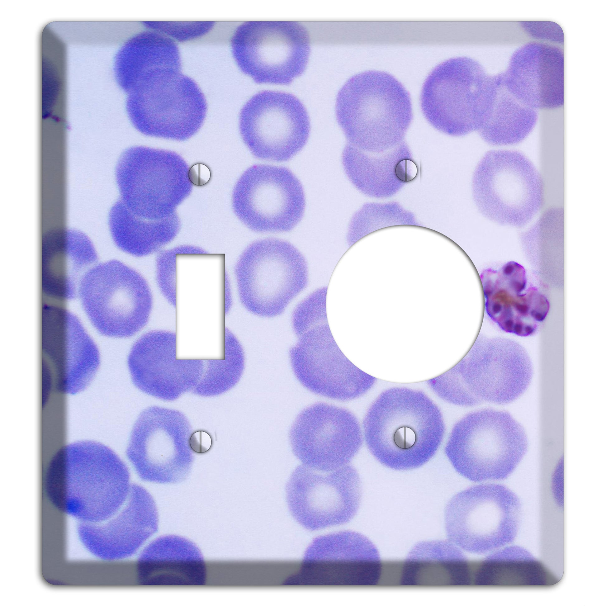 Plasmodium Malariae Schizont Toggle / Receptacle Wallplate