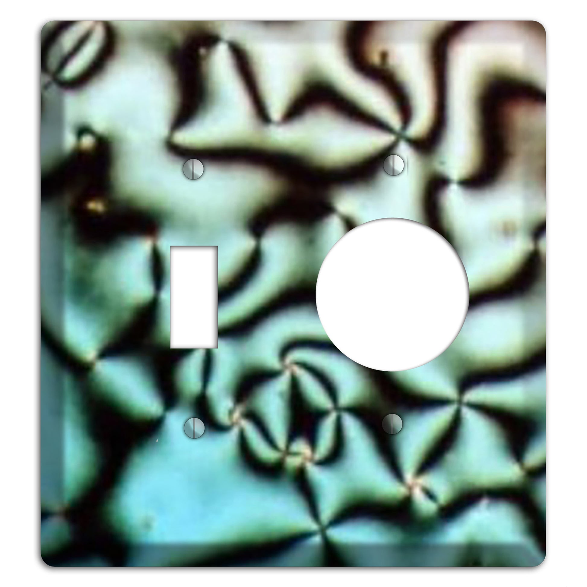 Nematische Phase Schlierentextur Toggle / Receptacle Wallplate