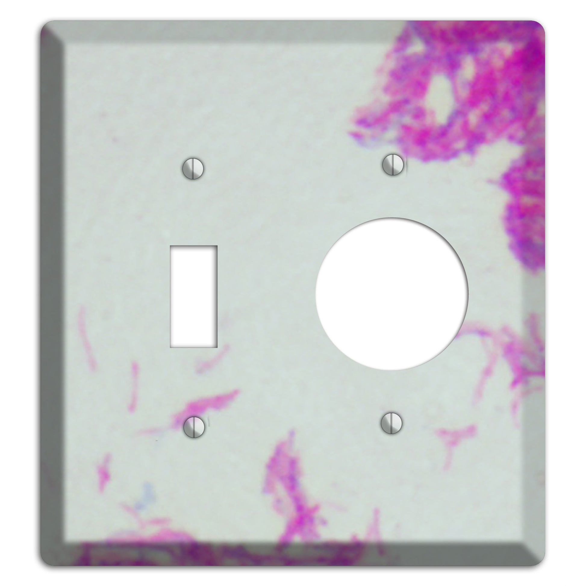 Mycobacterium Bovis Toggle / Receptacle Wallplate