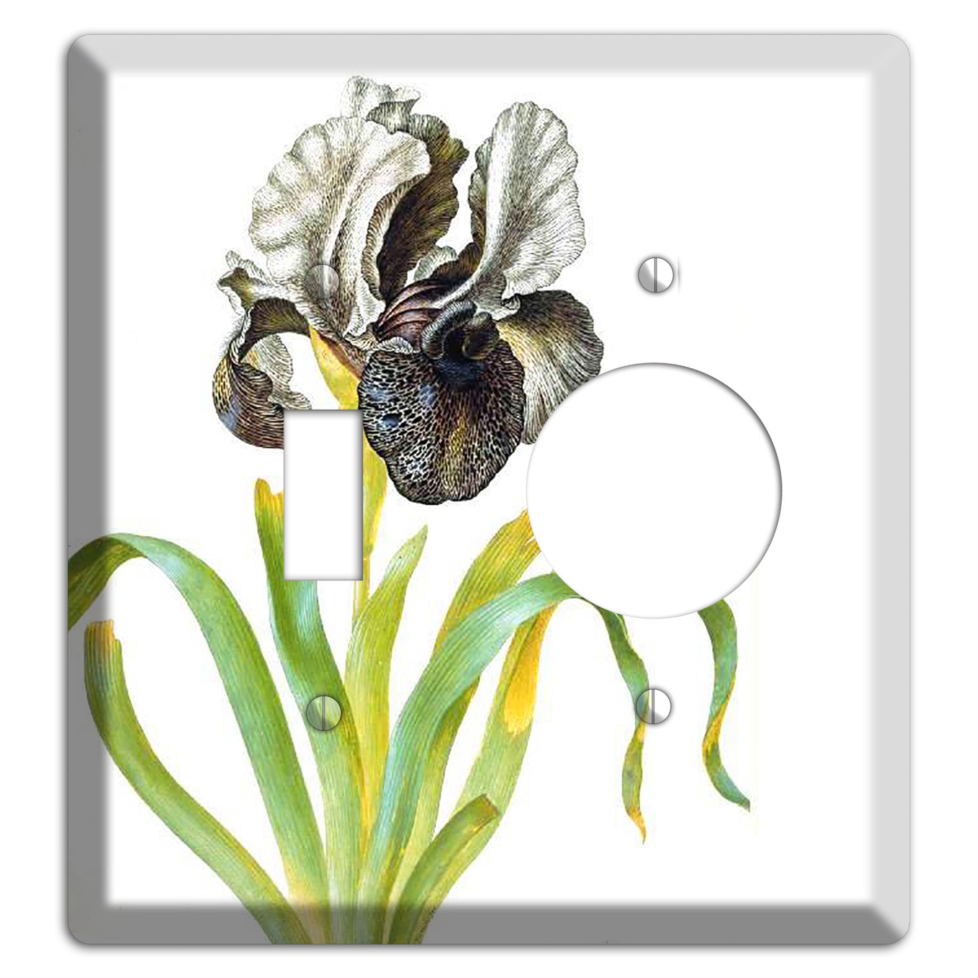 Susaniana Toggle / Receptacle Wallplate