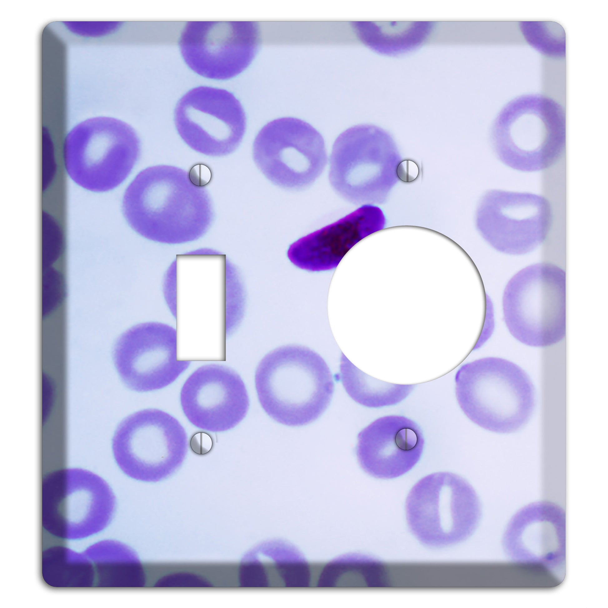 Plasmodium Falciparum Toggle / Receptacle Wallplate