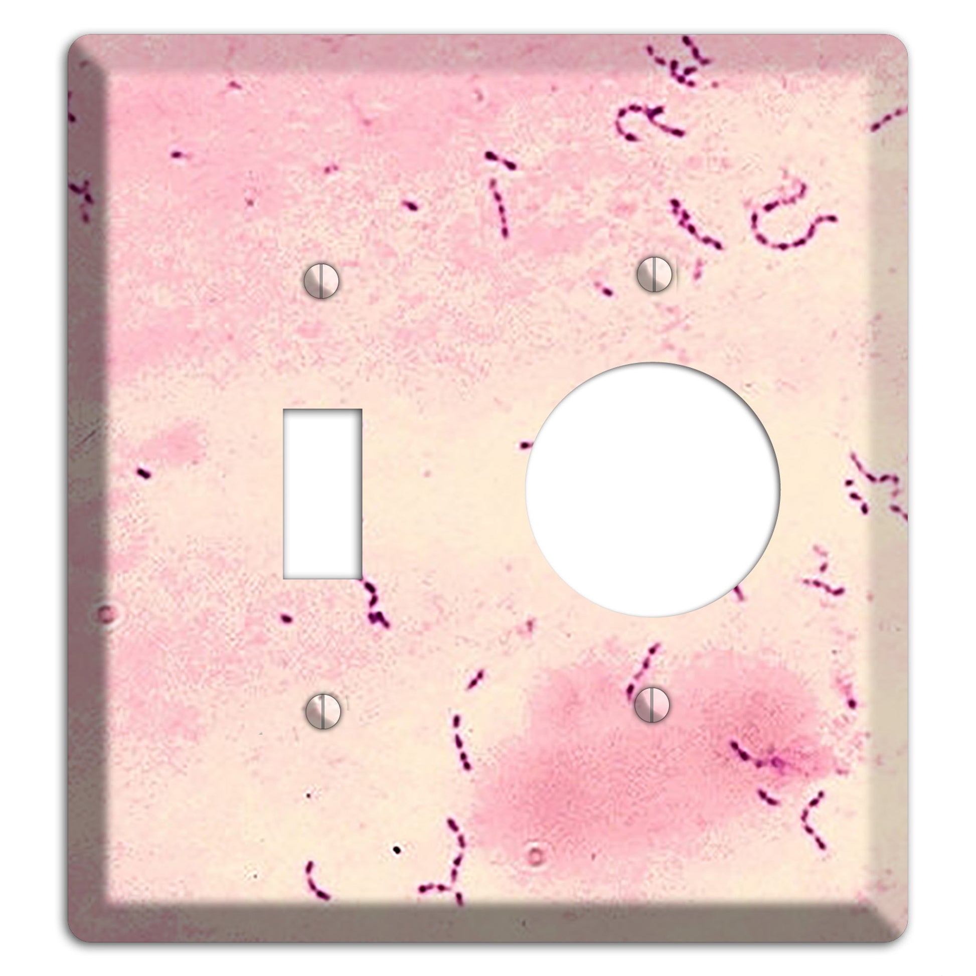 Streptococcus Mutans Toggle / Receptacle Wallplate