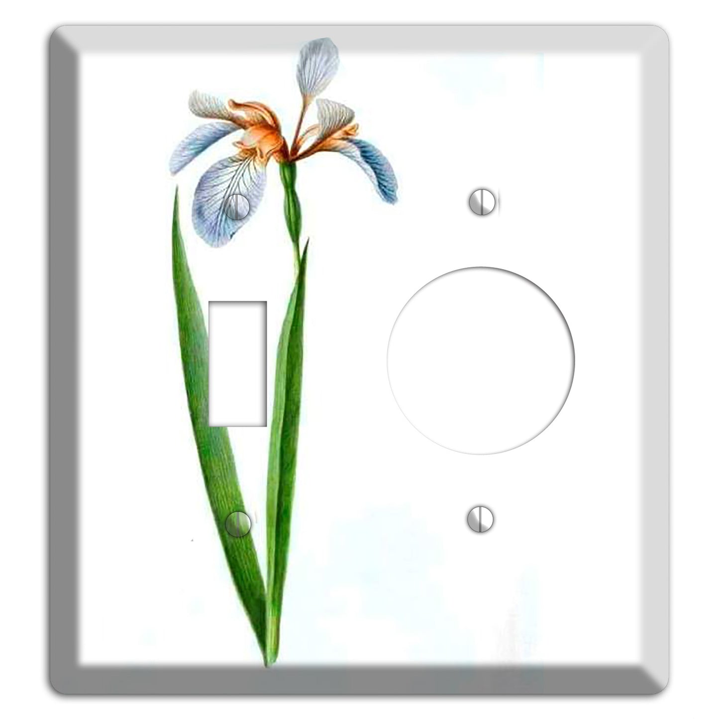White Iris 2 Toggle / Receptacle Wallplate