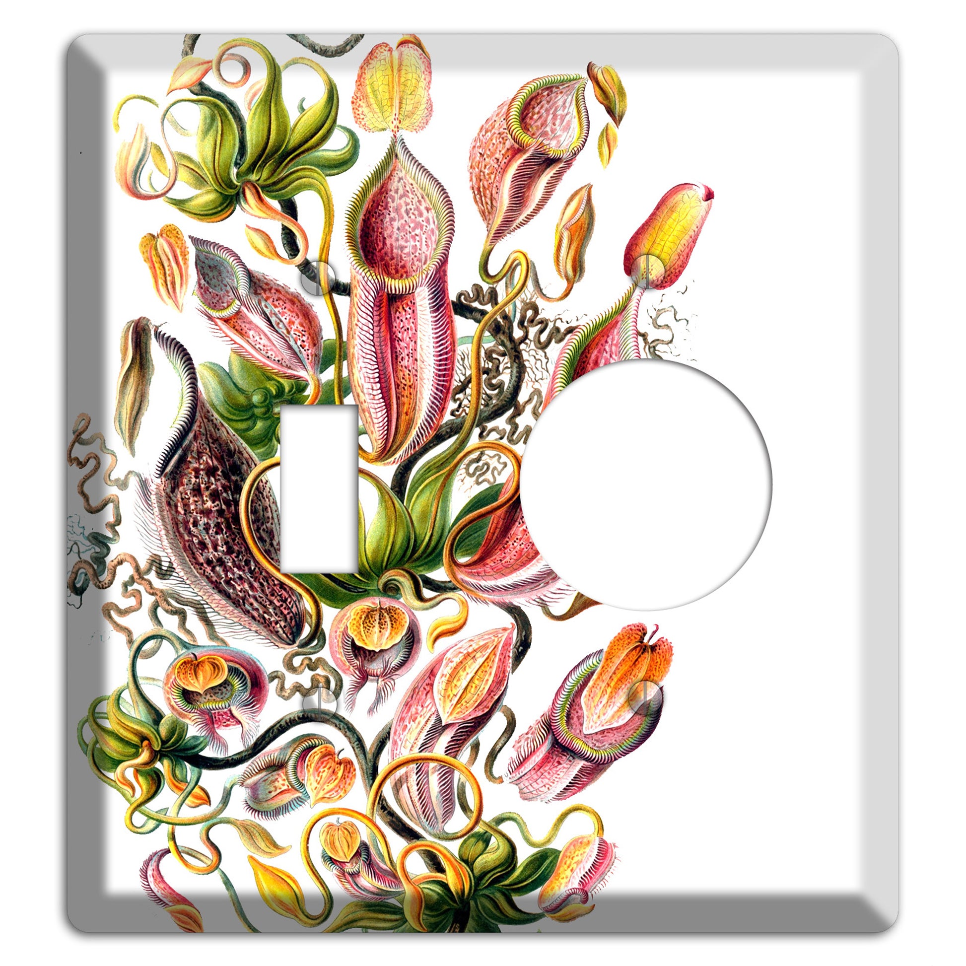 Haechel Toggle / Receptacle Wallplate