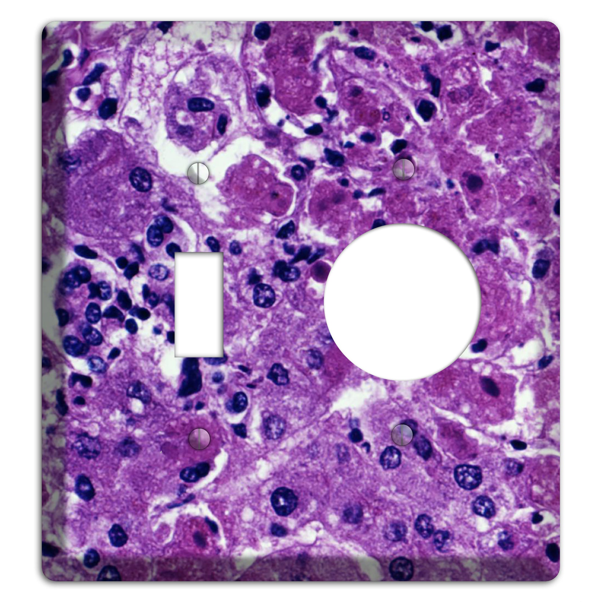 Marburg Toggle / Receptacle Wallplate