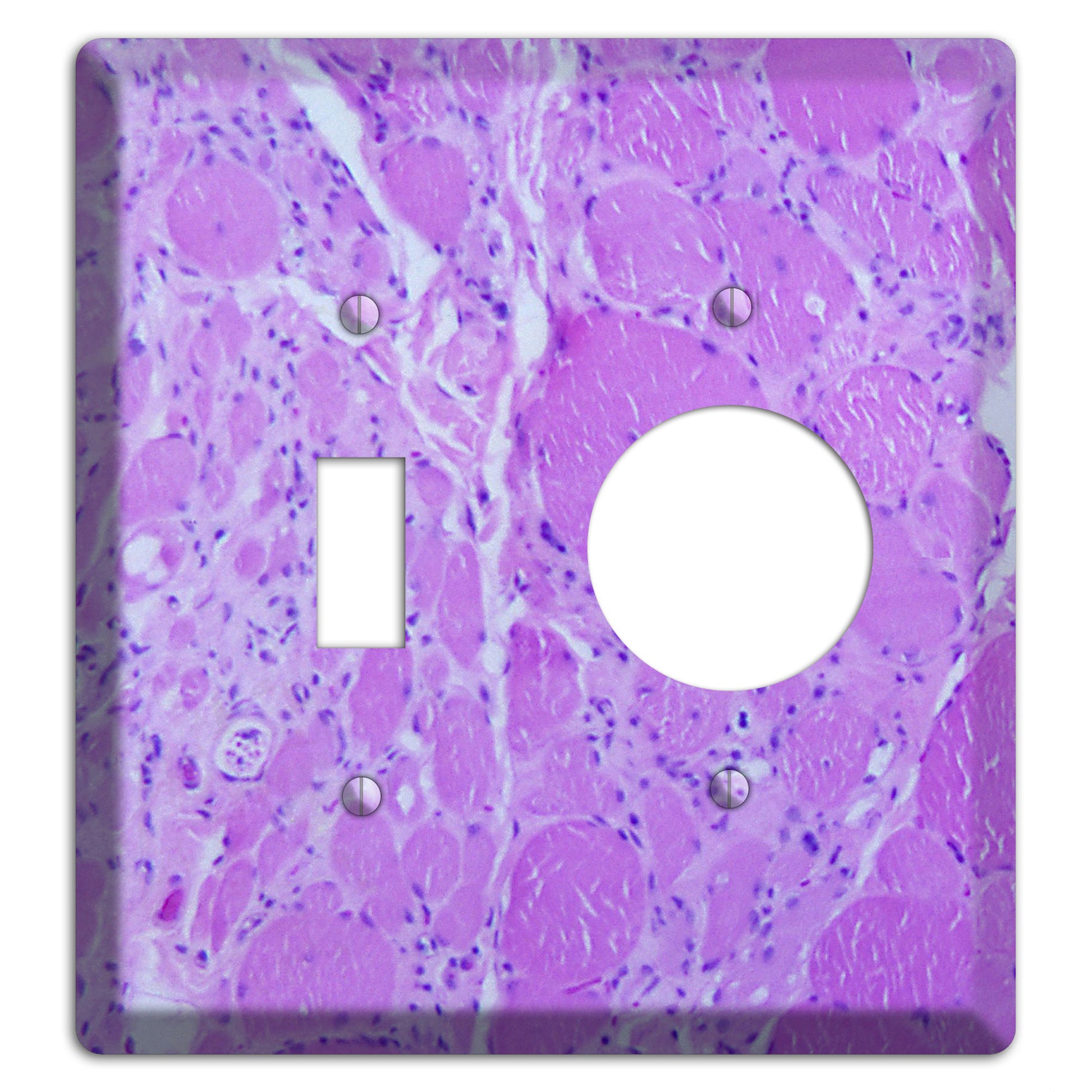 Poliovirus Myotonic Dystrophic Toggle / Receptacle Wallplate