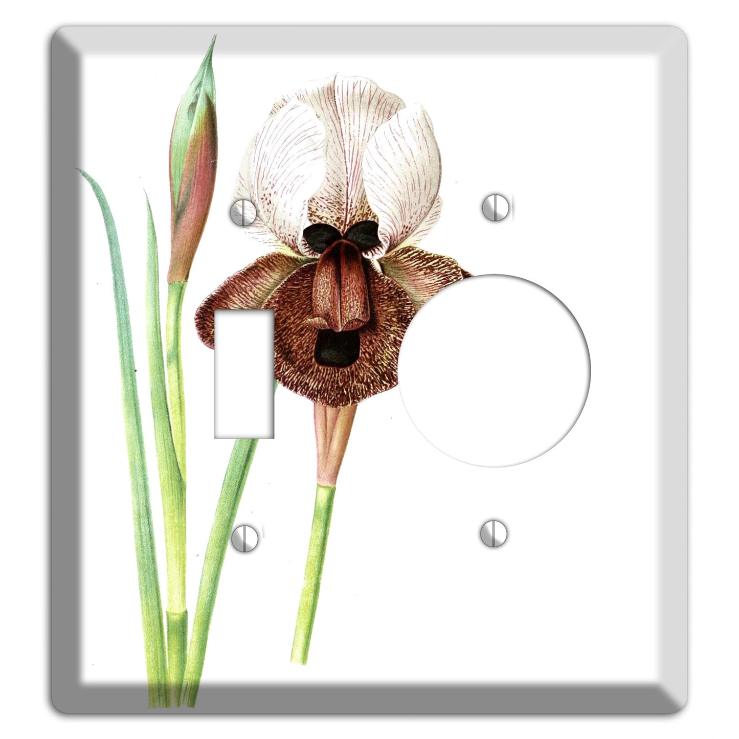 White iris Toggle / Receptacle Wallplate
