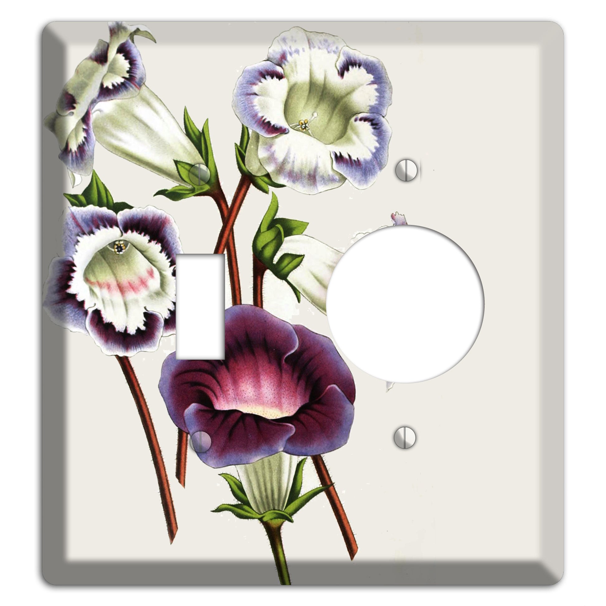 Gloxinas Toggle / Receptacle Wallplate