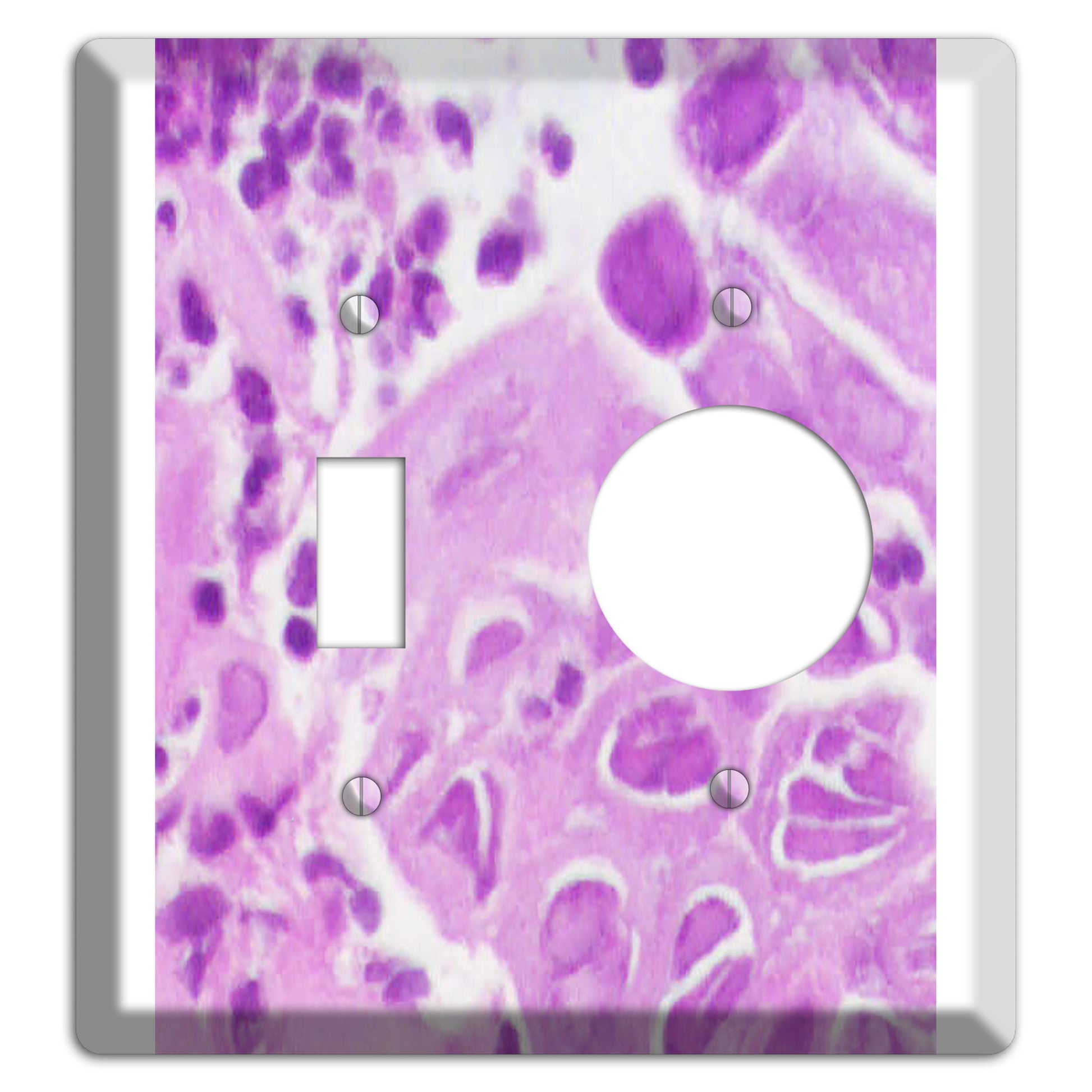 Esophagus Herpes Toggle / Receptacle Wallplate