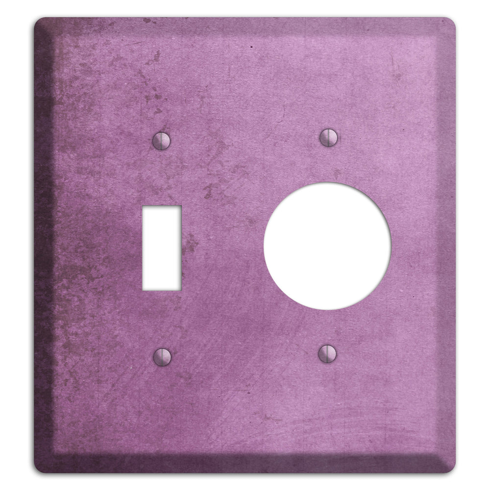 Bouquet Vintage Grunge Toggle / Receptacle Wallplate