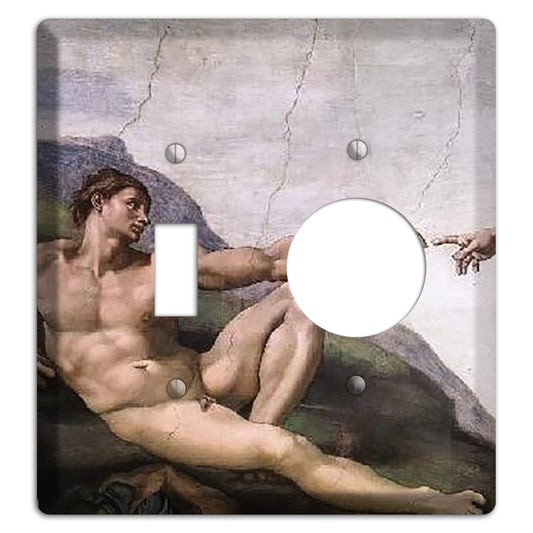 Michelangelo 1 Toggle / Receptacle Wallplate