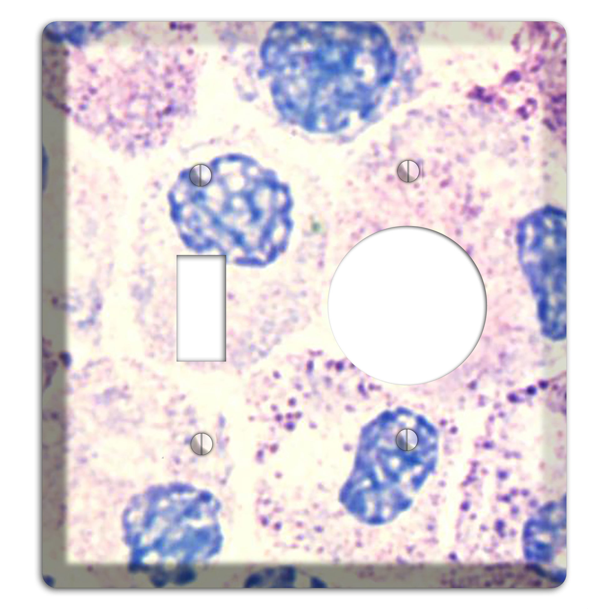 SMC Polyhydroxy Toggle / Receptacle Wallplate