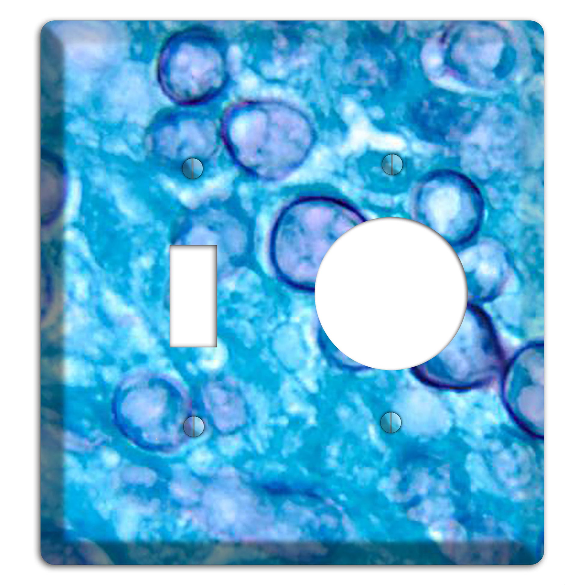 Histoplasma Capsulatum Duboisii Toggle / Receptacle Wallplate