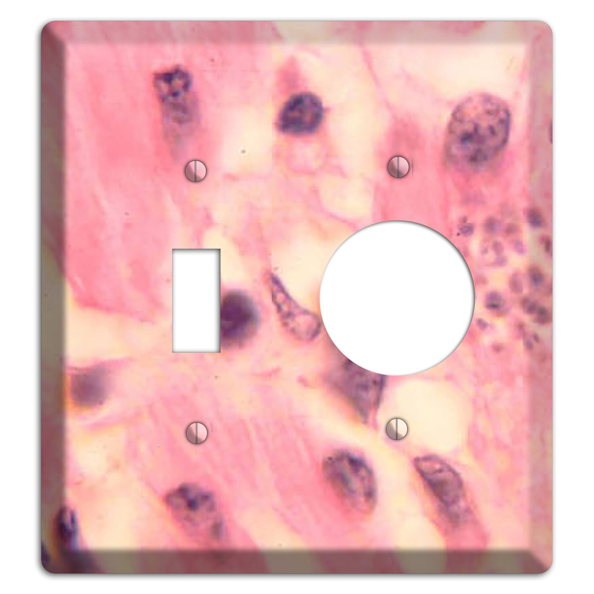 Trypanosoma Cruzi Heart Toggle / Receptacle Wallplate