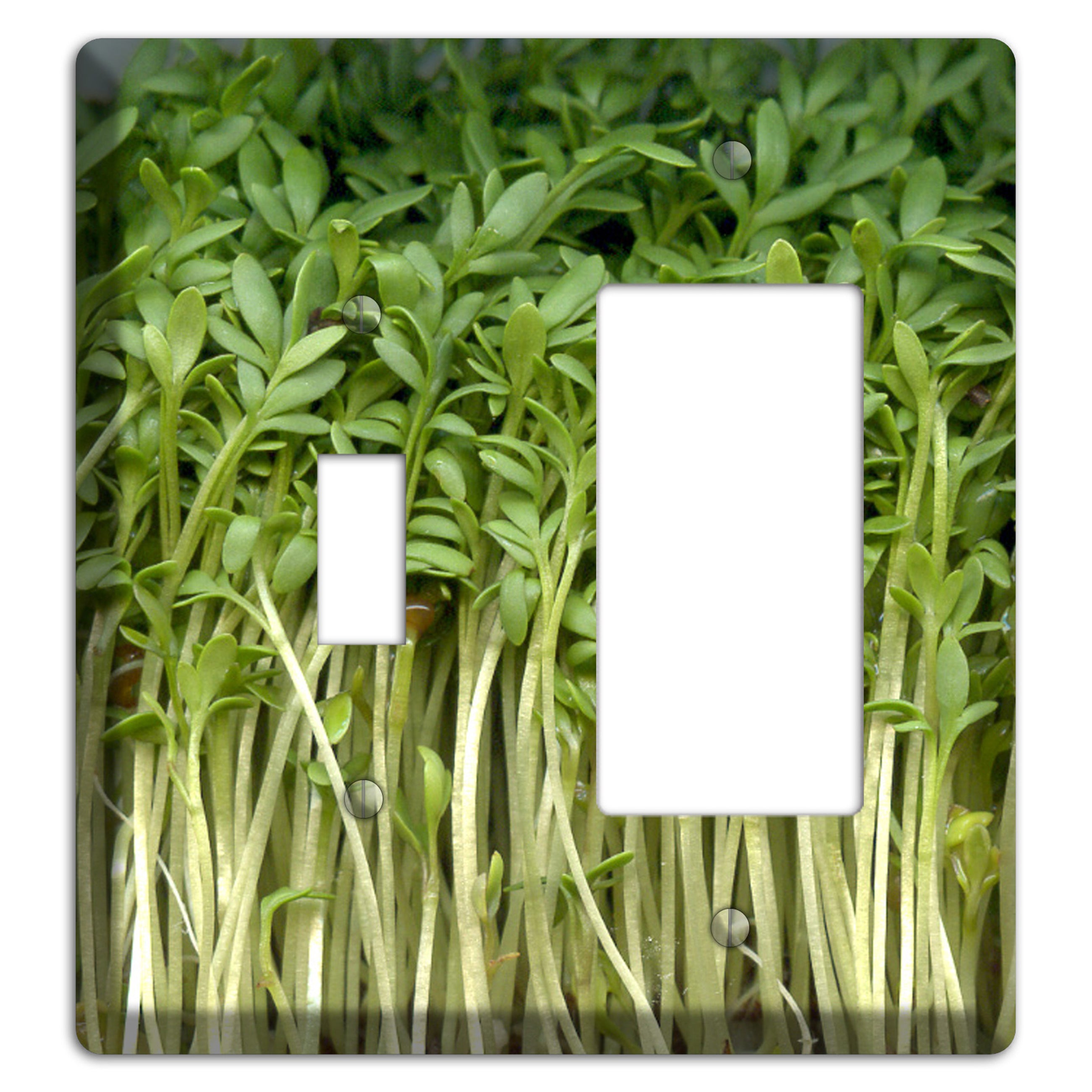 Sprouts Toggle / Rocker Wallplate