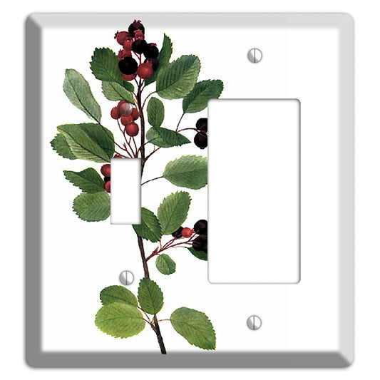 Amelanchier Ainifolia Toggle / Rocker Wallplate
