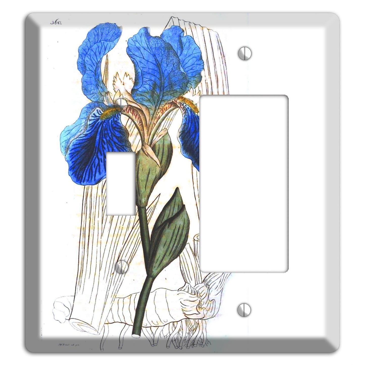 Blue Iris Toggle / Rocker Wallplate