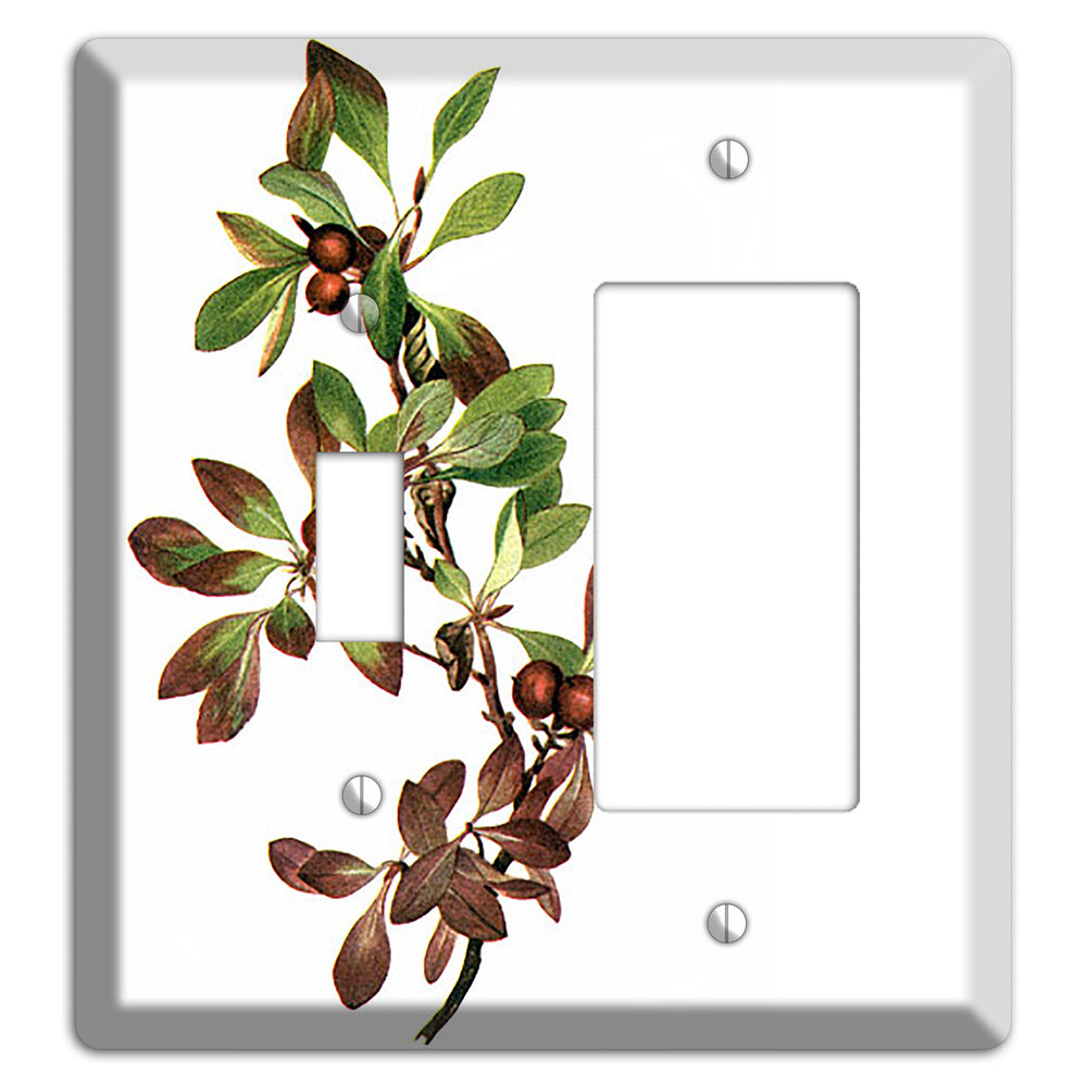 Arietustaphylos Alpha Toggle / Rocker Wallplate