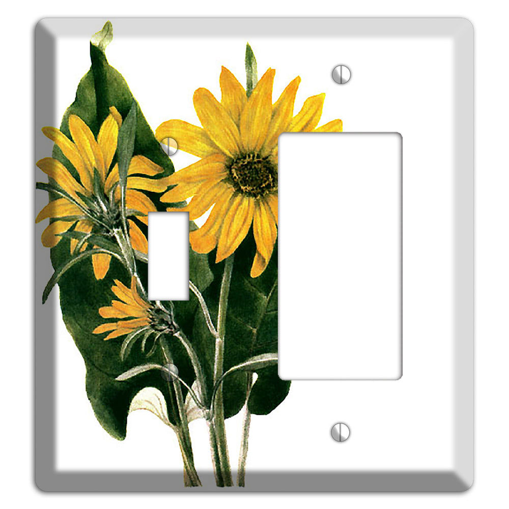 Balsamorhiza Sagittata Toggle / Rocker Wallplate
