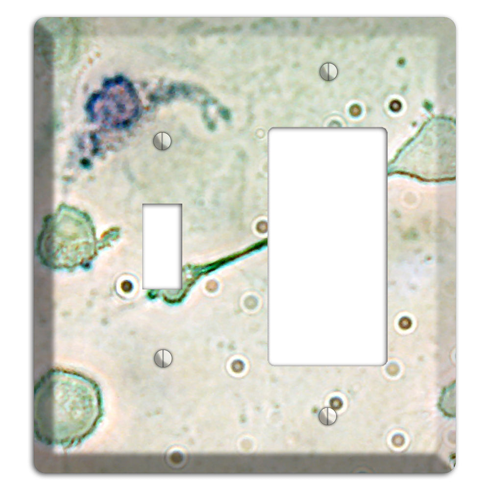 Macrophage Toggle / Rocker Wallplate