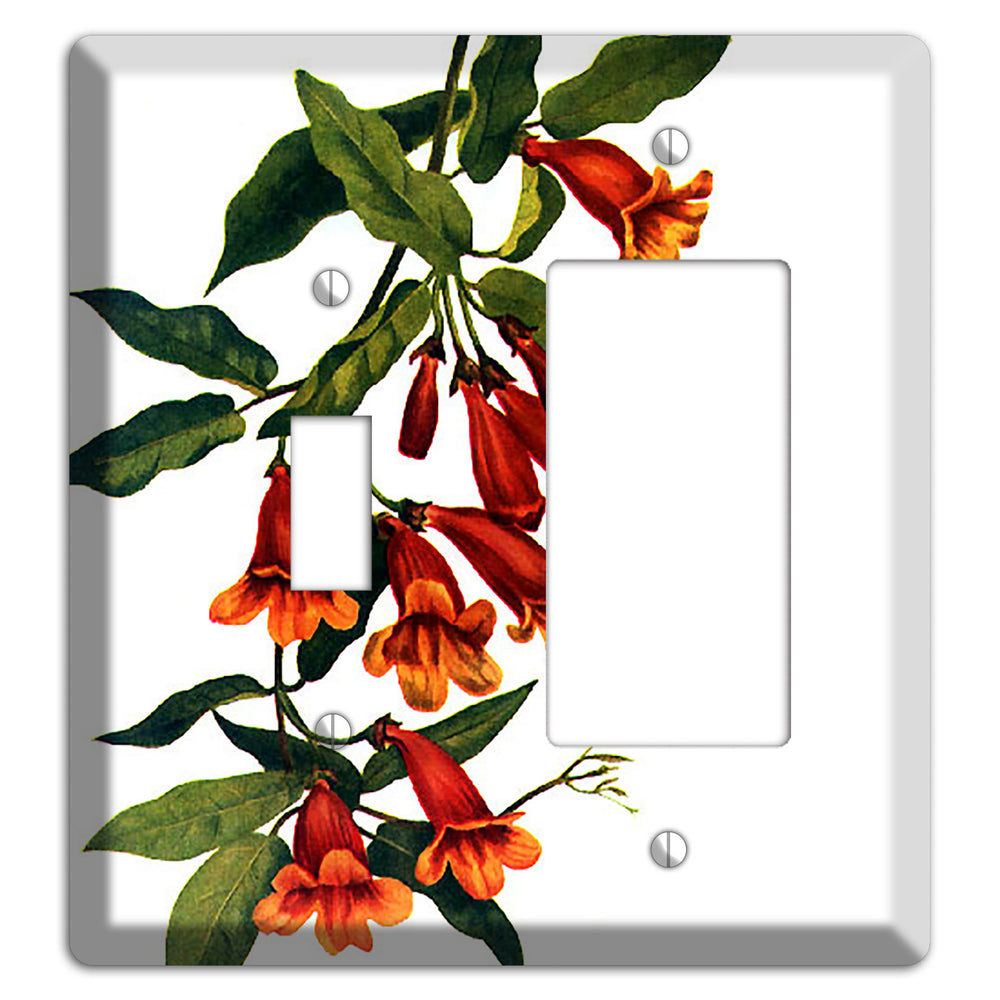 Bigonia Capreolata Toggle / Rocker Wallplate