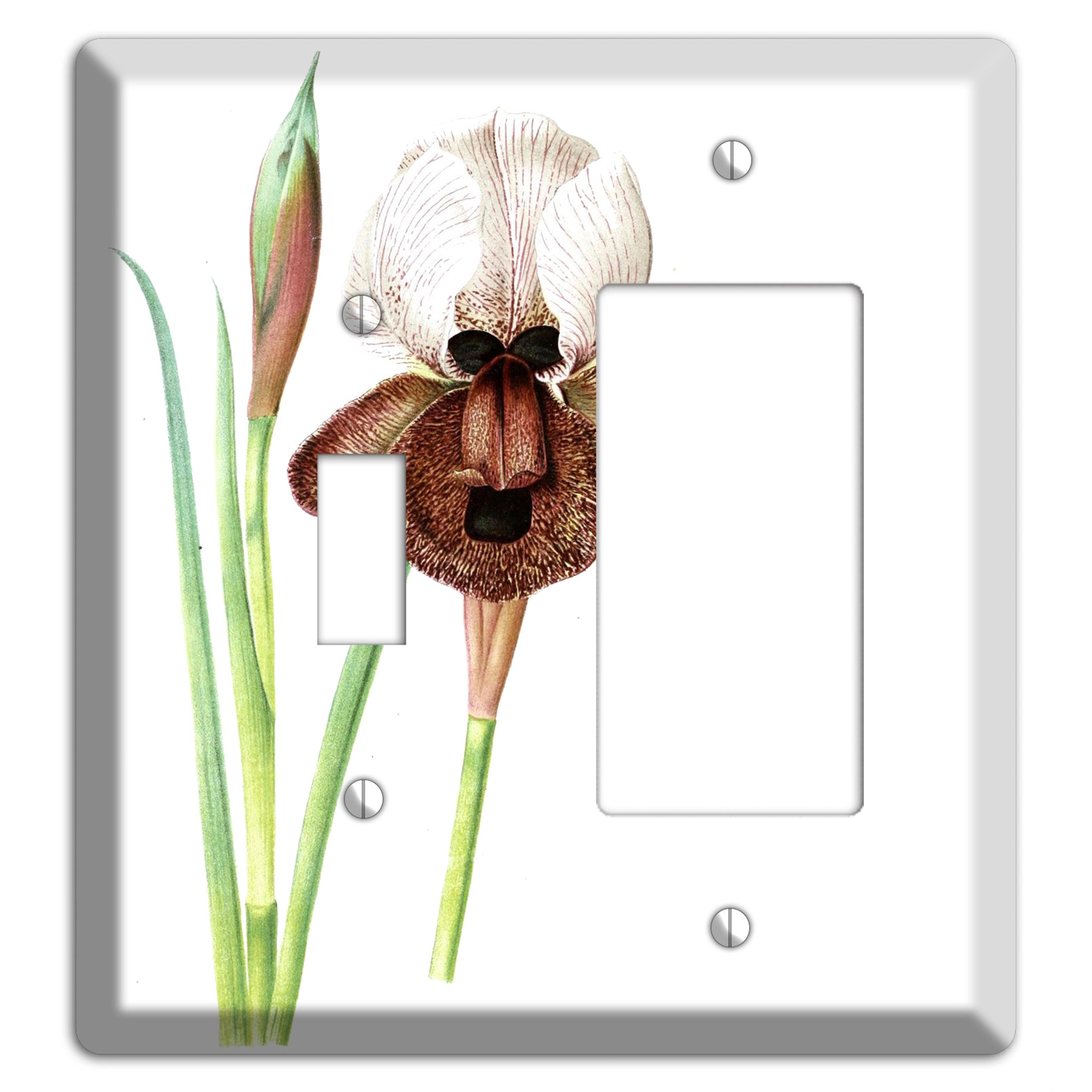 White iris Toggle / Rocker Wallplate