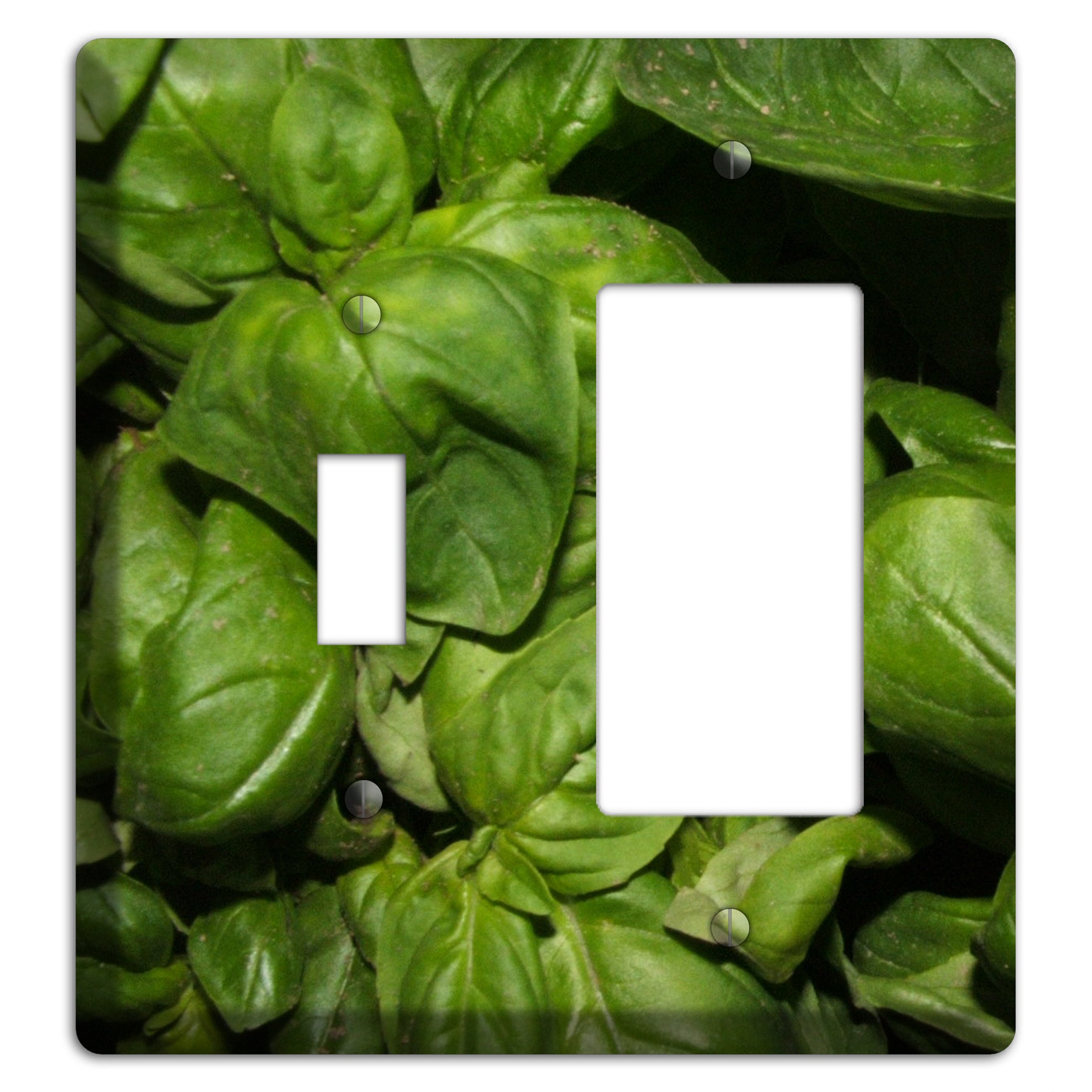 Basil Toggle / Rocker Wallplate