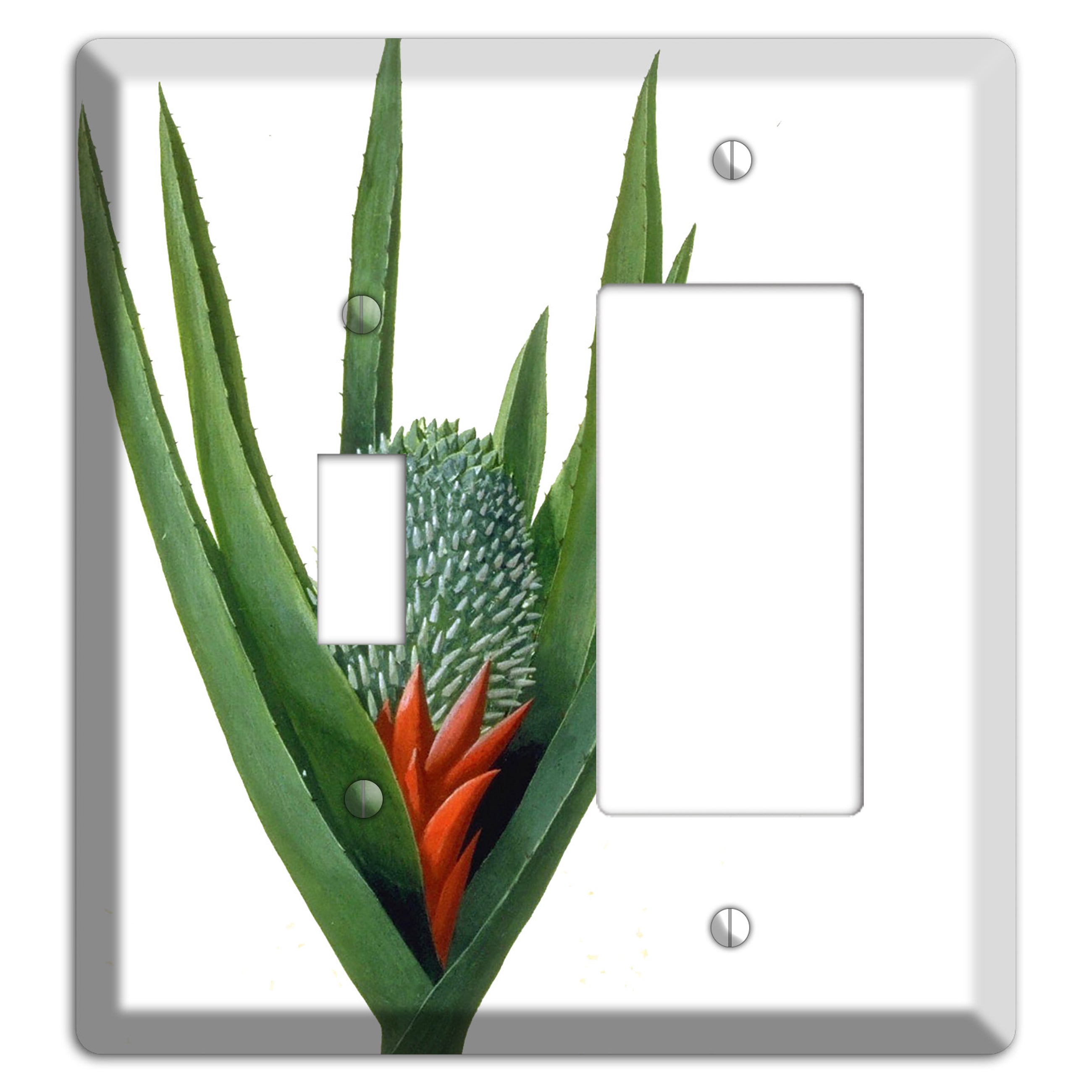 Bromiliad Toggle / Rocker Wallplate