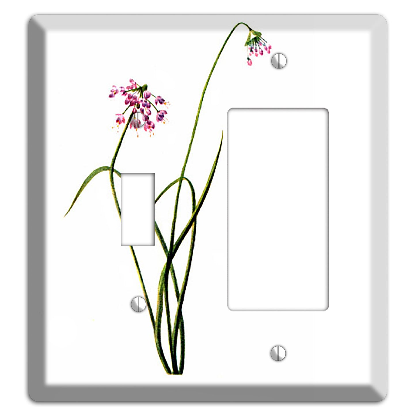 Allium Cernum Toggle / Rocker Wallplate