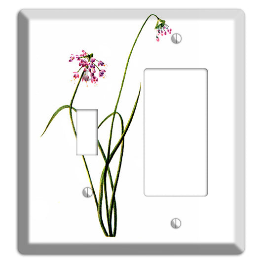 Allium Cernum Toggle / Rocker Wallplate