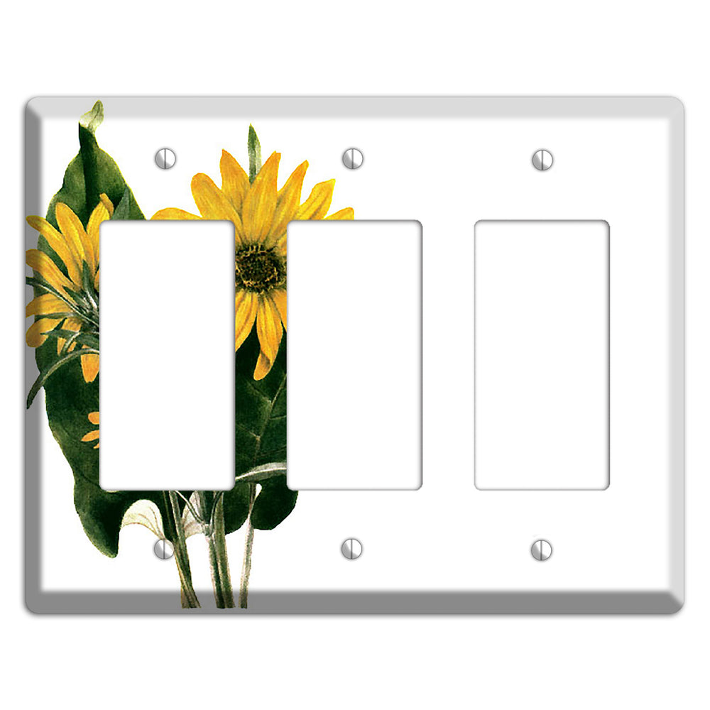 Balsamorhiza Sagittata 3 Rocker Wallplate
