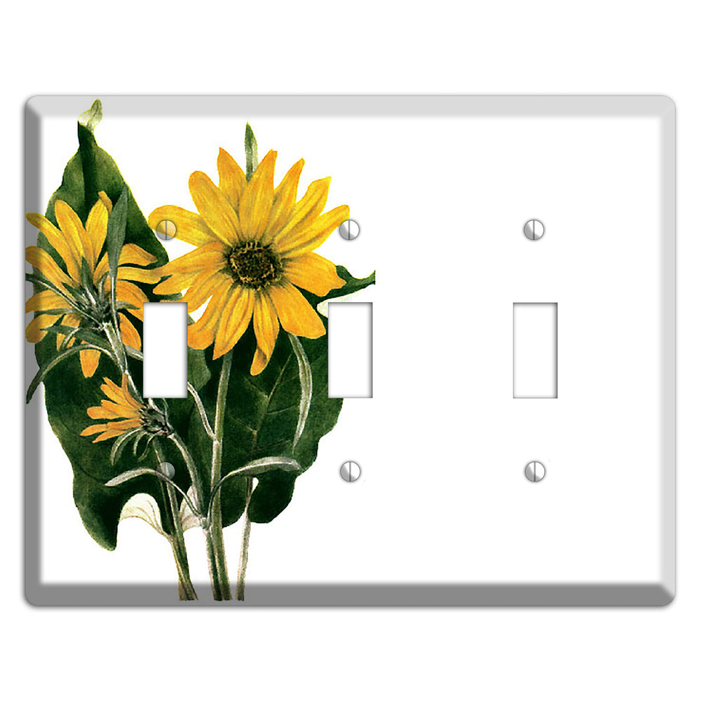 Balsamorhiza Sagittata 3 Toggle Wallplate