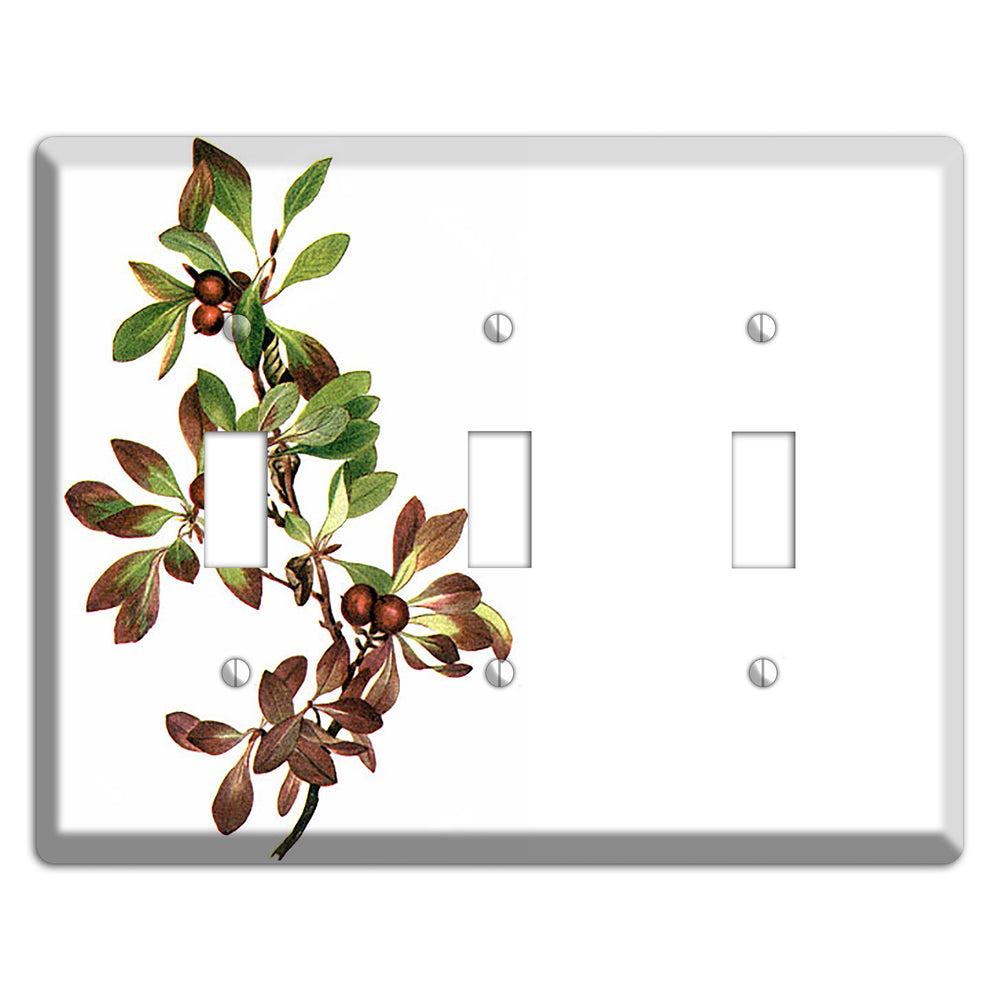 Arietustaphylos Alpha 3 Toggle Wallplate