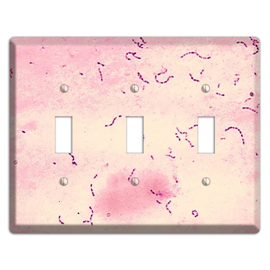 Streptococcus Mutans 3 Toggle Wallplate